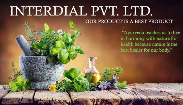 Herbal Ayurveda Banner 3