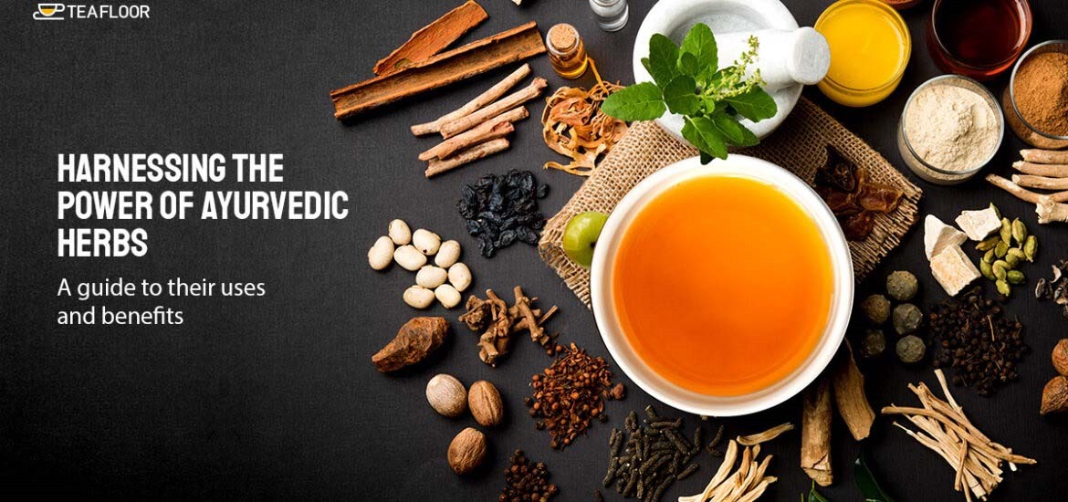 Herbal Ayurveda Banner 2