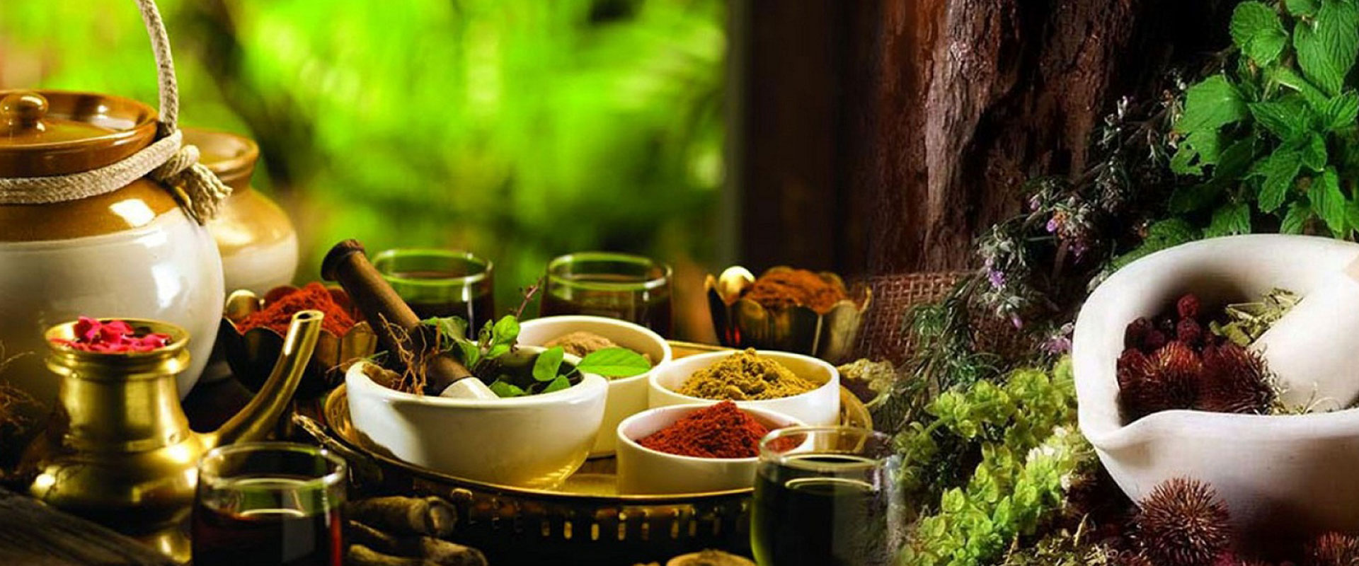 Herbal Ayurveda Banner 1